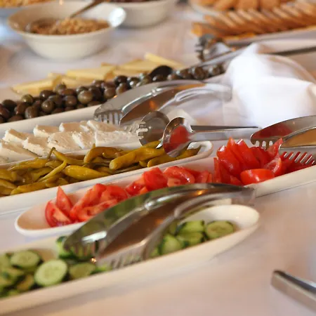 Petit Elita Shkodër